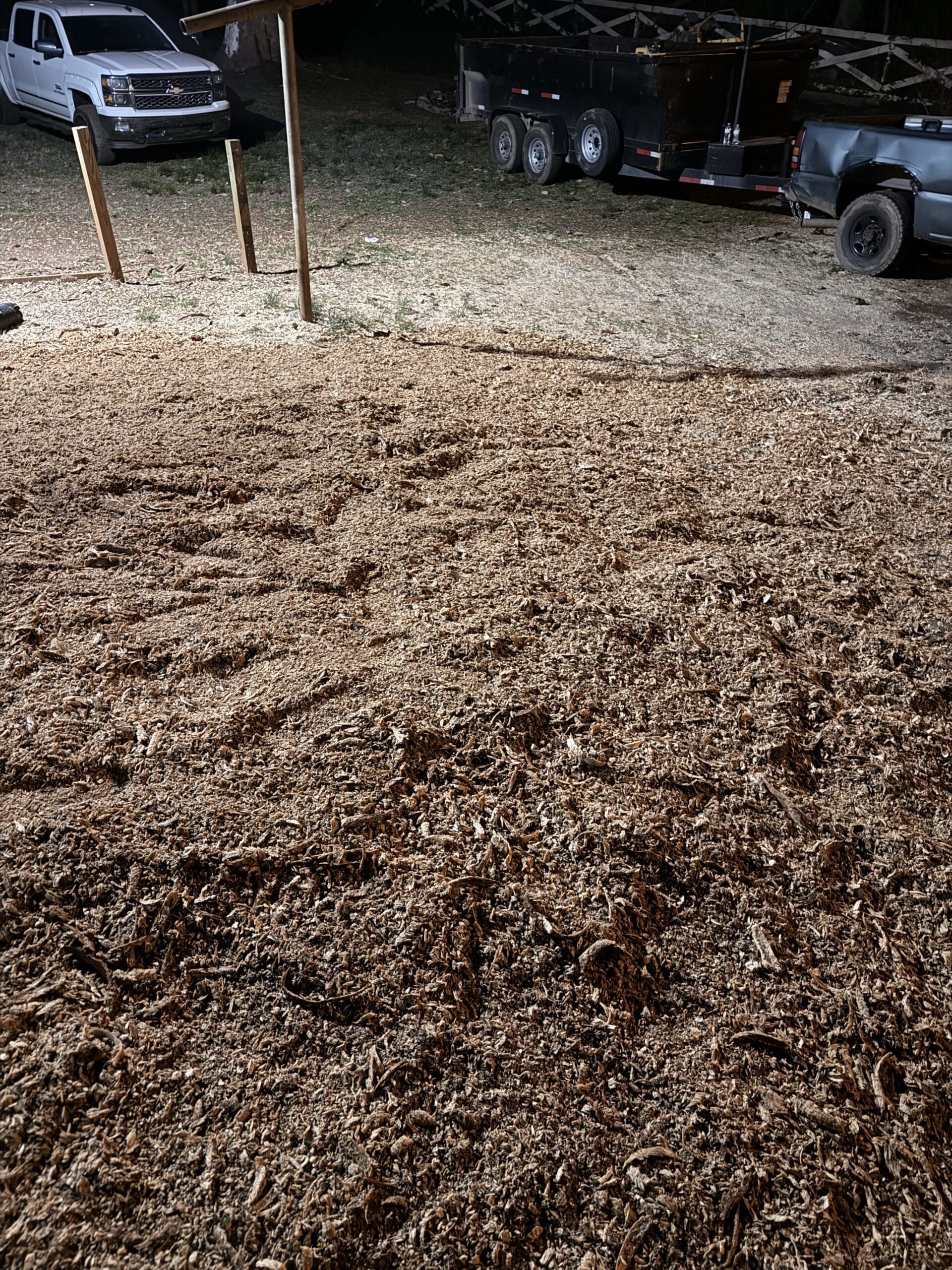 Stump ground down to chips after a 316 Tree Services job