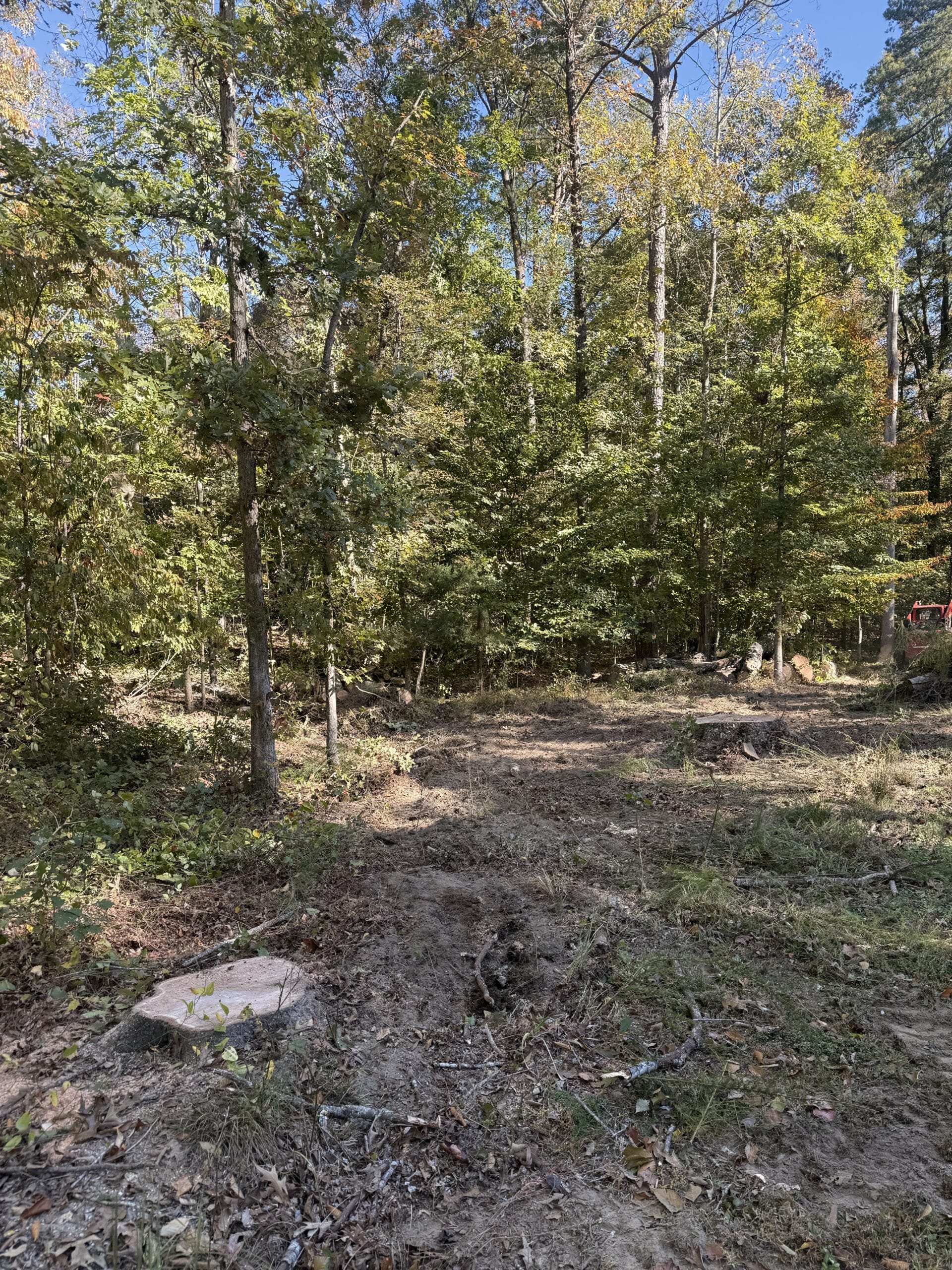 A High Point yard cleared and cleaned up after 316 Tree Services finished a removal